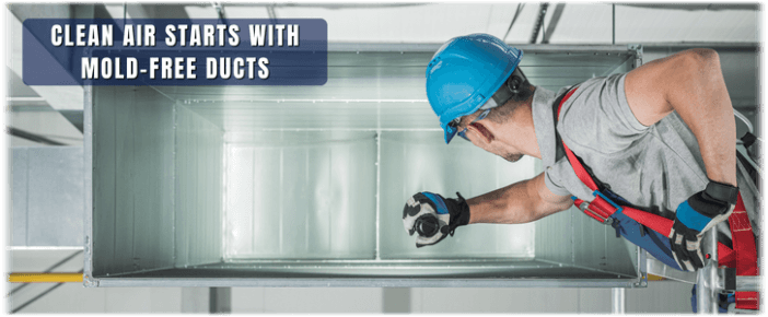 Air Duct Mold Removal in The Woodlands