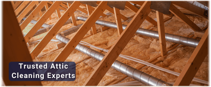 Attic Cleaning The Woodlands