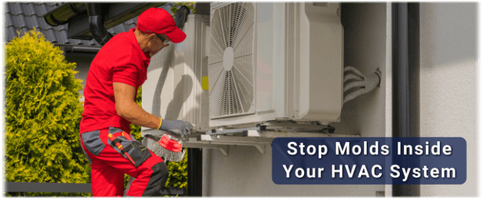 HVAC Mold Removal The Woodlands